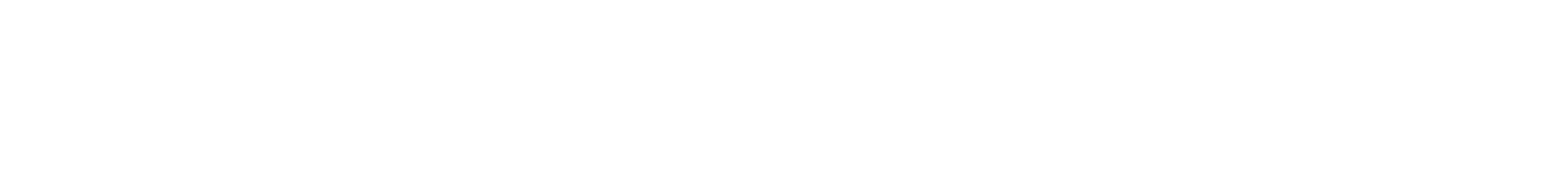 Bespoke Revolution logo